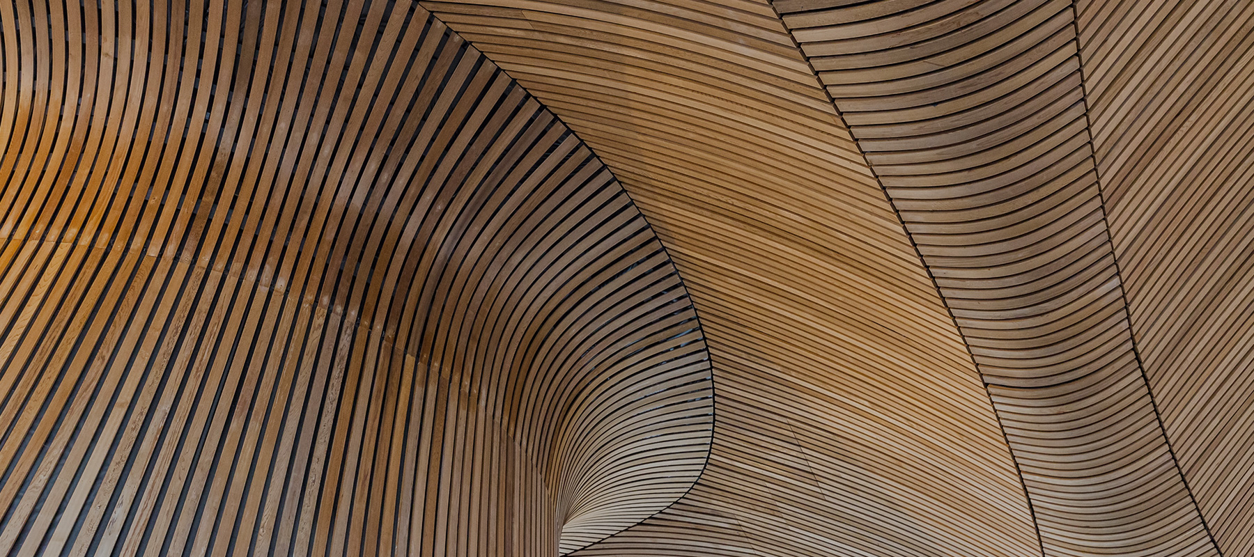Architecture Cover - Abstract wooden motive